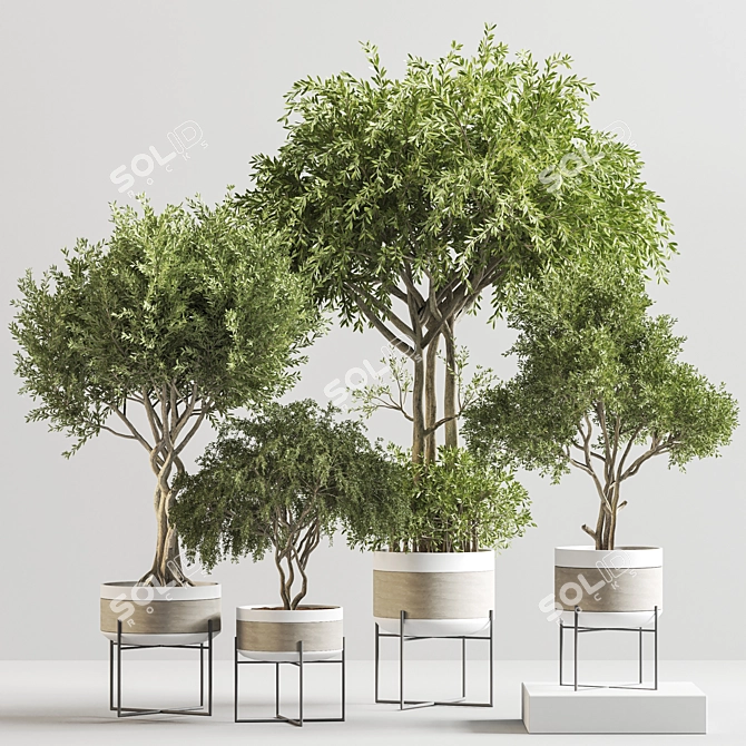 Modern Indoor Plant Decor 19 3D model image 10