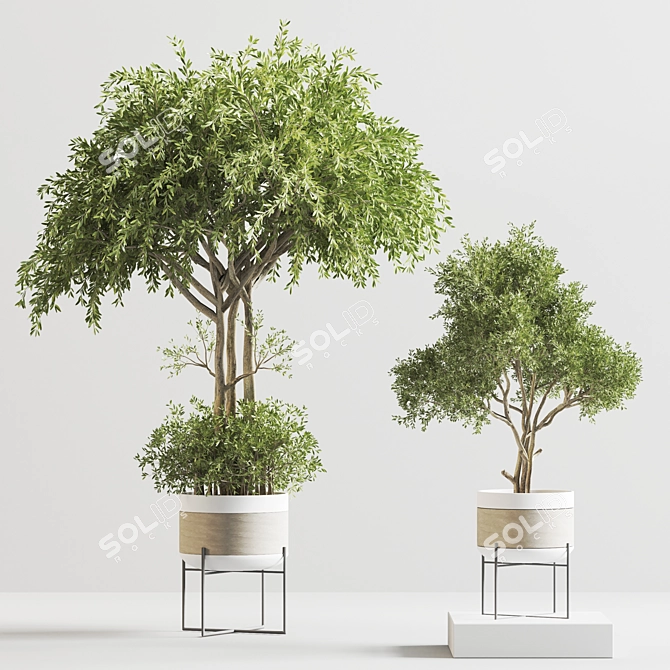 Modern Indoor Plant Decor 19 3D model image 1