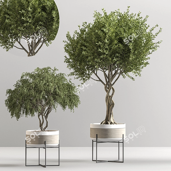 Modern Indoor Plant Decor 19 3D model image 2