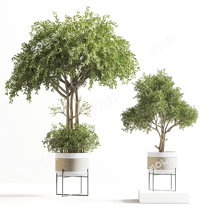 Modern Indoor Plant Decor 19 3D model image 6