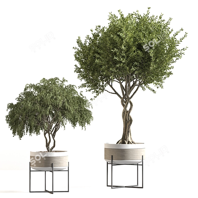 Modern Indoor Plant Decor 19 3D model image 7