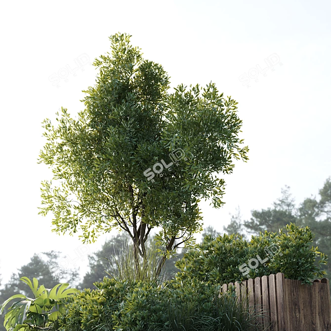 Outdoor Garden Plants Box Set 3D model image 3