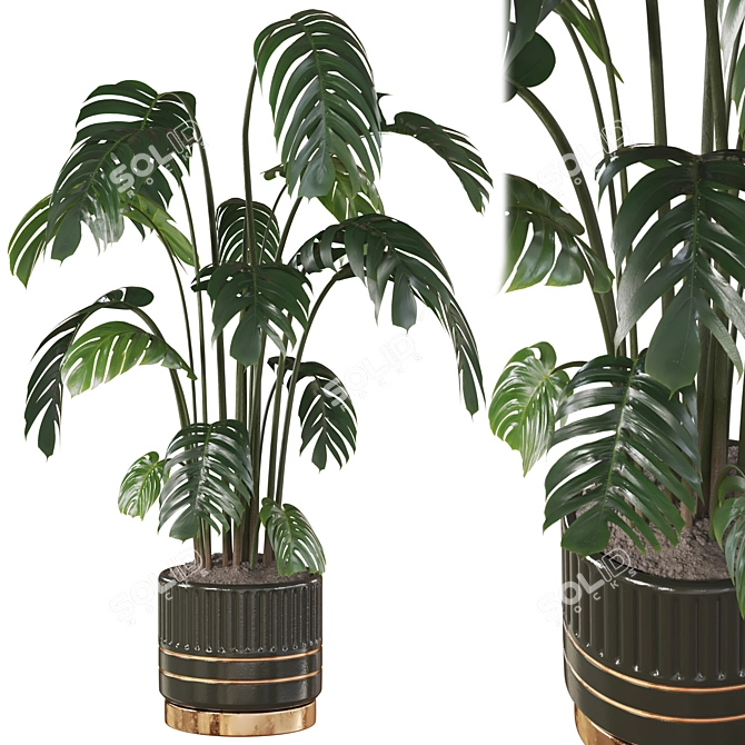 Deluxe Swiss Cheese Plant Pot 3D model image 1