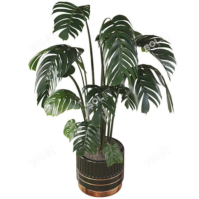 Deluxe Swiss Cheese Plant Pot 3D model image 2