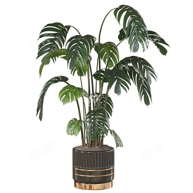 Deluxe Swiss Cheese Plant Pot 3D model image 3