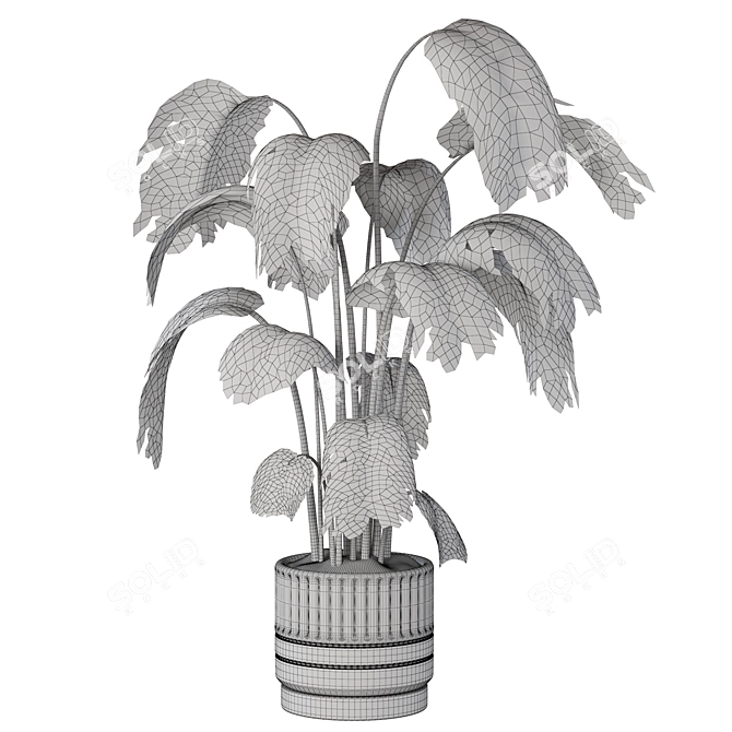 Deluxe Swiss Cheese Plant Pot 3D model image 4