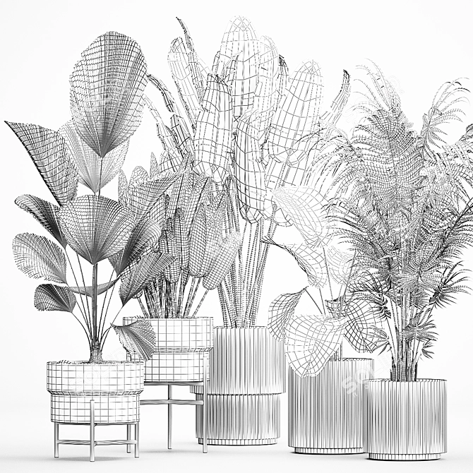 Tropical Plant Collection in Concrete Pots 3D model image 7