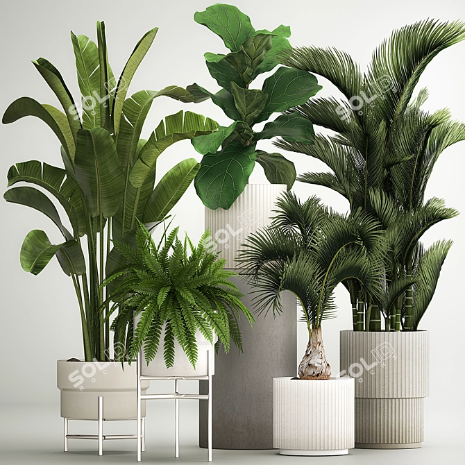 Tropical Plant Set in Concrete Pots 3D model image 1