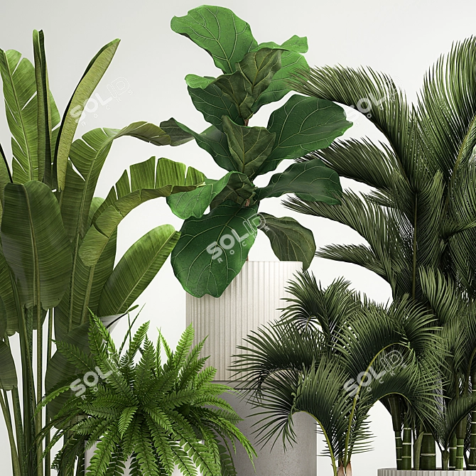 Tropical Plant Set in Concrete Pots 3D model image 3