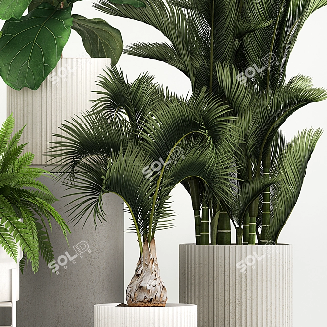 Tropical Plant Set in Concrete Pots 3D model image 4