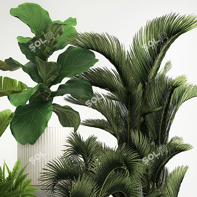 Tropical Plant Set in Concrete Pots 3D model image 5