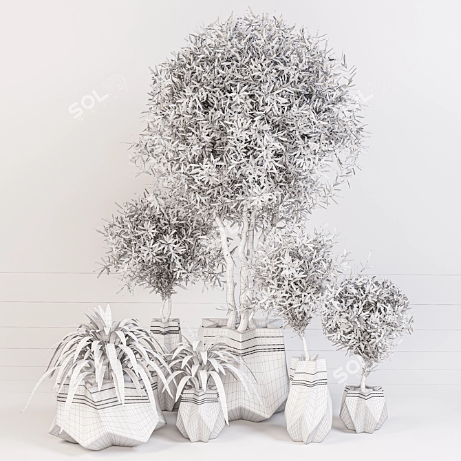 Green Oasis Indoor Plant Set 3D model image 5