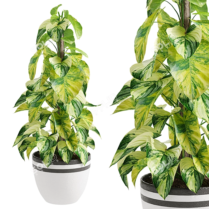 Golden Pothos Model for 3D 3D model image 1