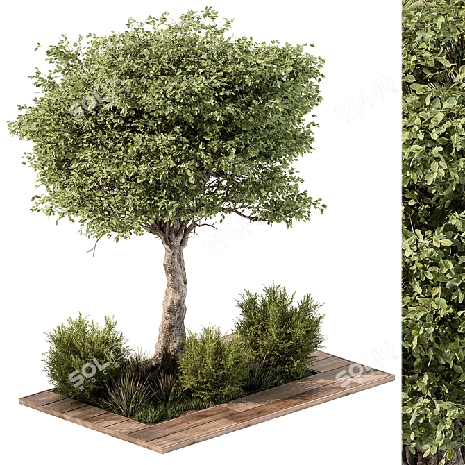 Outdoor Garden Plants Collection 3D model image 1