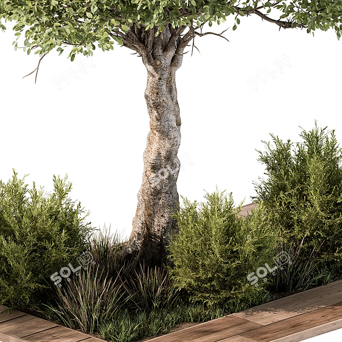 Outdoor Garden Plants Collection 3D model image 2