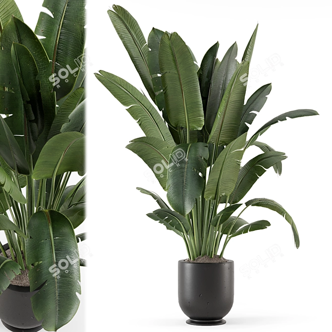 Rustic Concrete Pot Indoor Plants 3D model image 1