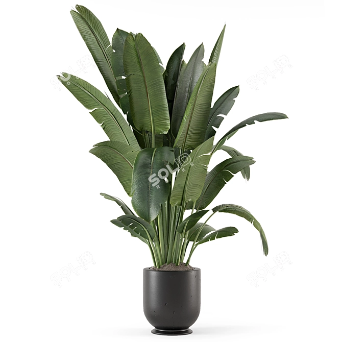 Rustic Concrete Pot Indoor Plants 3D model image 5