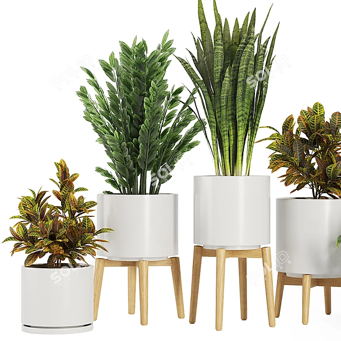 Modern Indoor Plant Set V5 3D model image 2