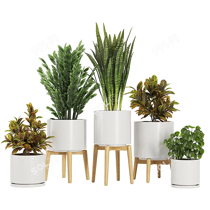 Modern Indoor Plant Set V5 3D model image 6