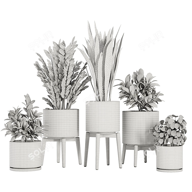 Modern Indoor Plant Set V5 3D model image 7