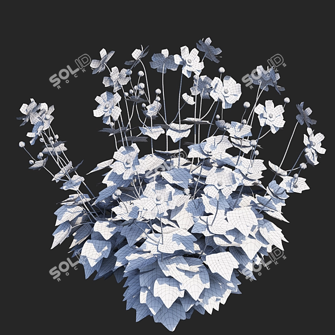 Hybrid Anemone Bush Collection 3D model image 6