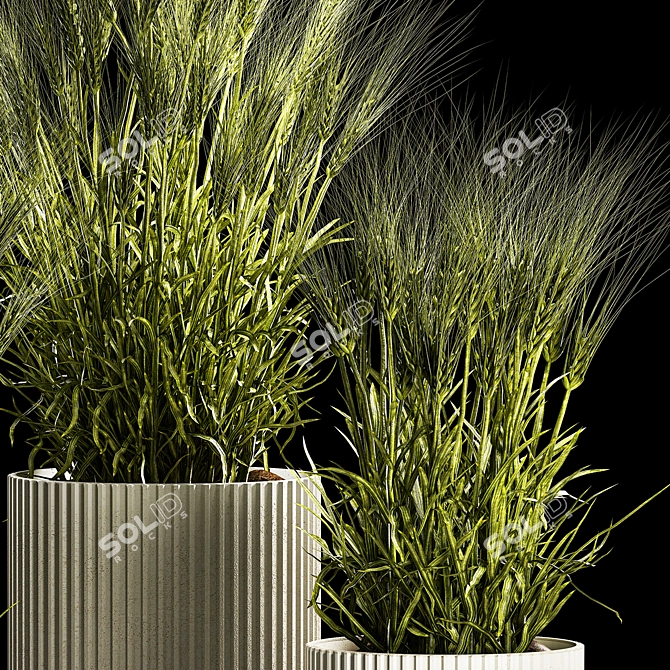 Spikelet Wheat Decor Collection 3D model image 4