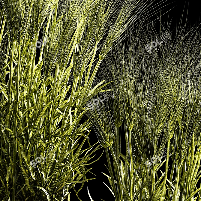 Spikelet Wheat Decor Collection 3D model image 5