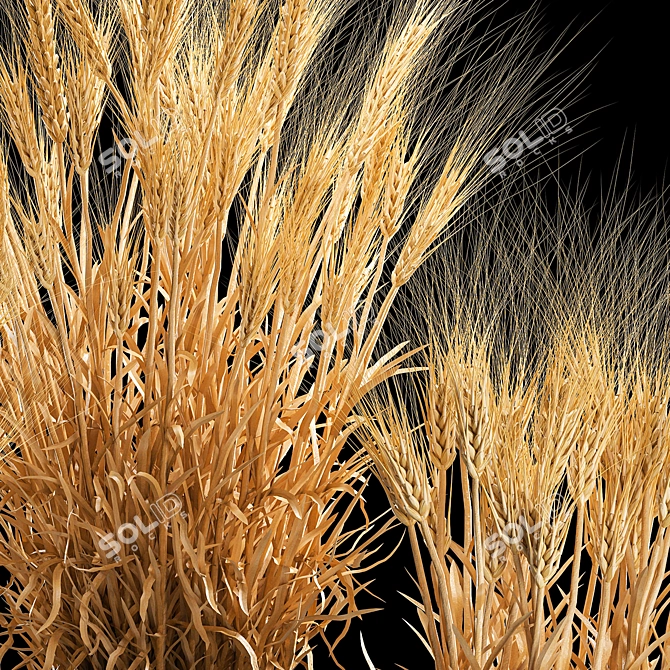 Spikelet Wheat Vase Set 3D model image 5