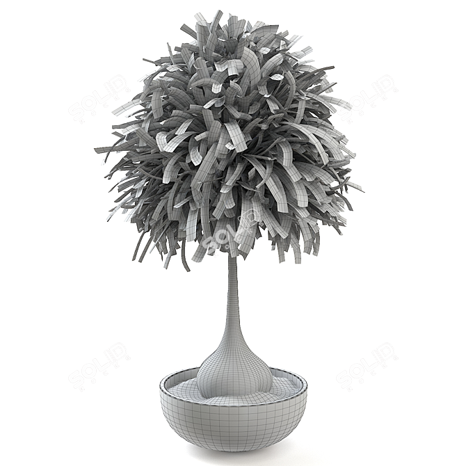 Elegant Beaucarnea 003 Display Piece 3D model image 2