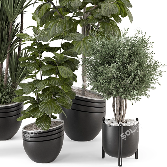 Rusty Concrete Pot Indoor Plants 3D model image 2