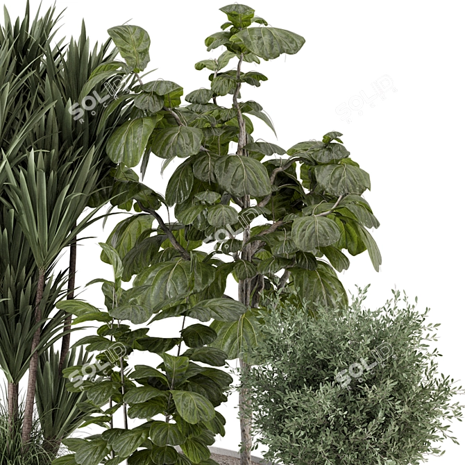 Rusty Concrete Pot Indoor Plants 3D model image 3