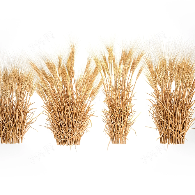 Decorative Wheat Bundle for Eco Design 3D model image 2