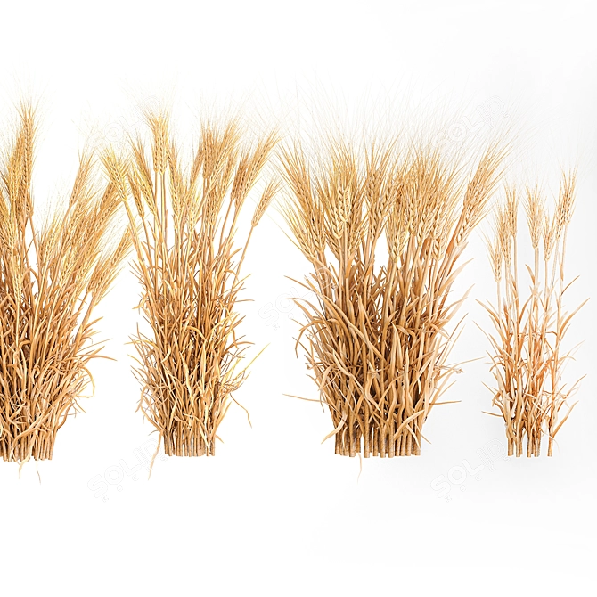 Decorative Wheat Bundle for Eco Design 3D model image 3