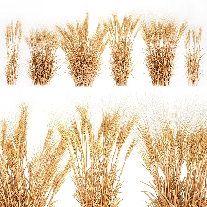 Decorative Wheat Bundle for Eco Design 3D model image 4