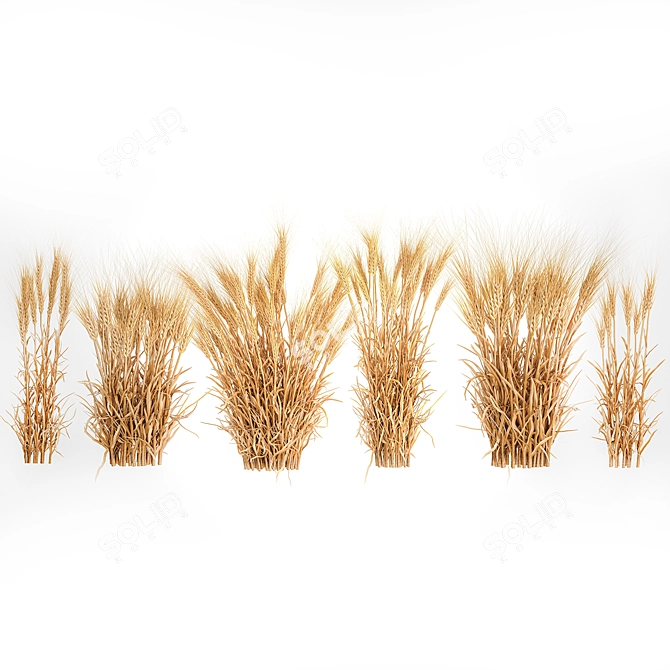 Decorative Wheat Bundle for Eco Design 3D model image 5