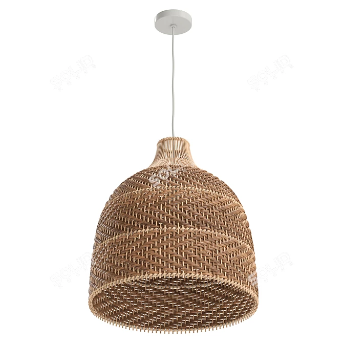 Handcrafted Rattan Pendant Light 3D model image 4