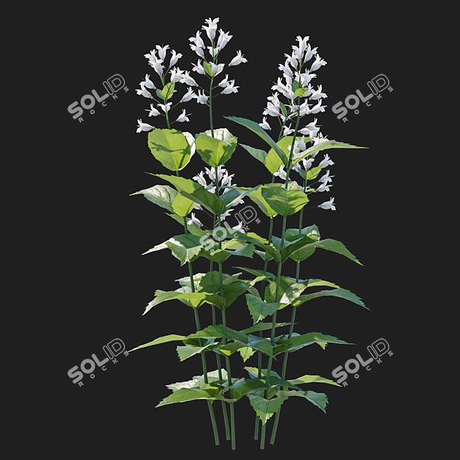 Prairie Penstemon 2017 Model Kit 3D model image 2