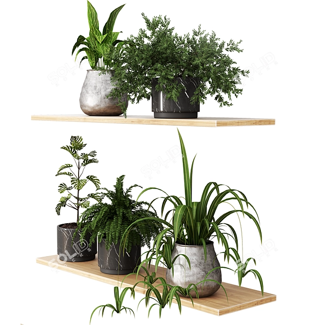 Modern Plant Collection 3D Model 3D model image 2