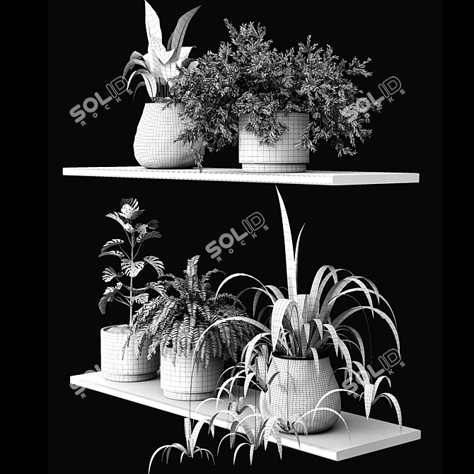 Modern Plant Collection 3D Model 3D model image 3