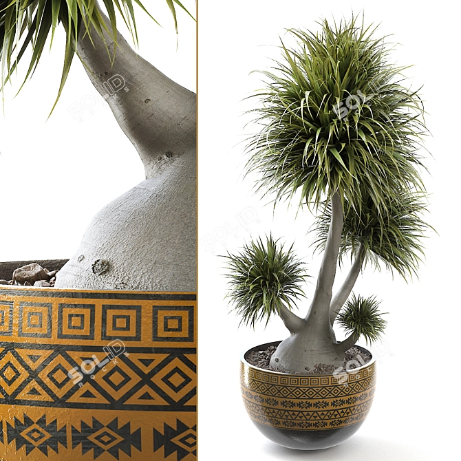 Elegant Rendered Beaucarnea Display Stand 3D model image 1