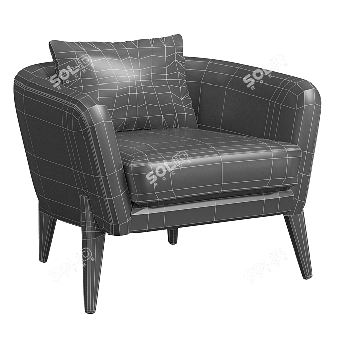 Modern Delray Armchair 2014 Model 3D model image 5