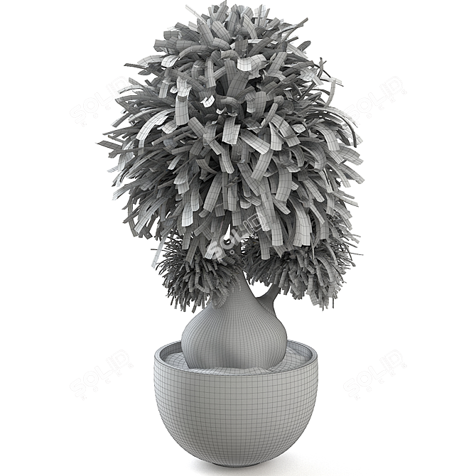 Breathtaking Beaucarnea 005 Render 3D model image 2