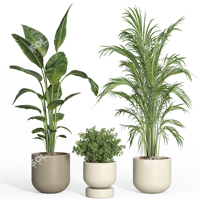  Modern Indoor Plant Set 3D model image 2