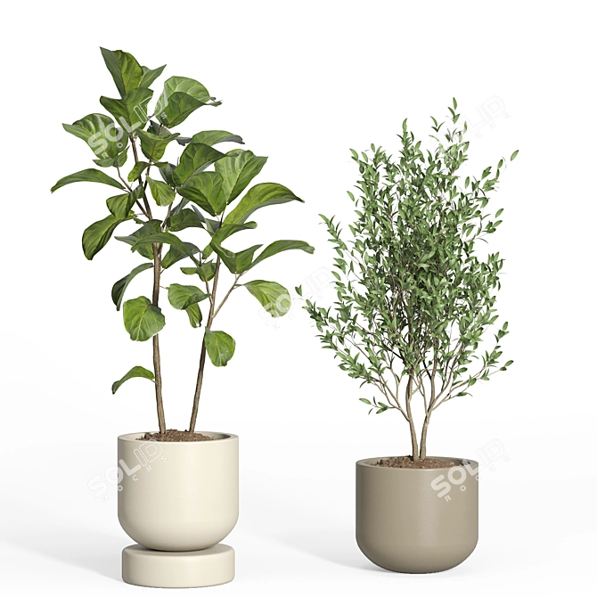  Modern Indoor Plant Set 3D model image 3