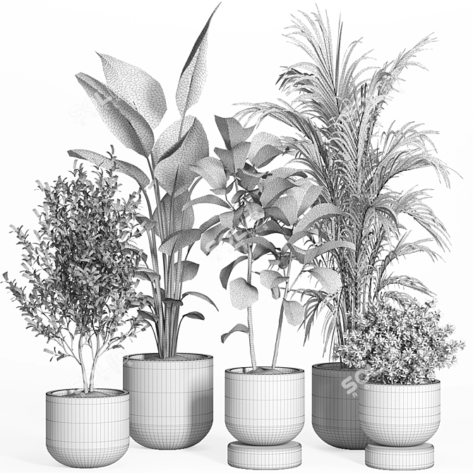  Modern Indoor Plant Set 3D model image 4