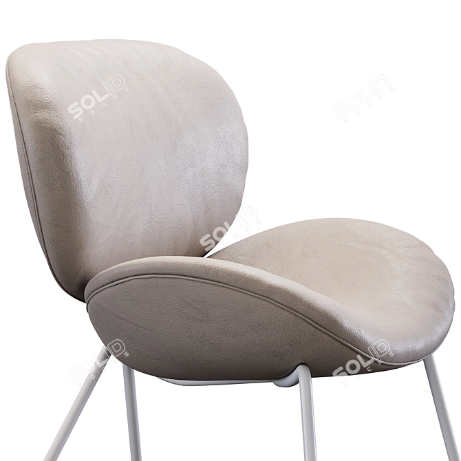 Amura 3D Uchiwa Model Kit 3D model image 6