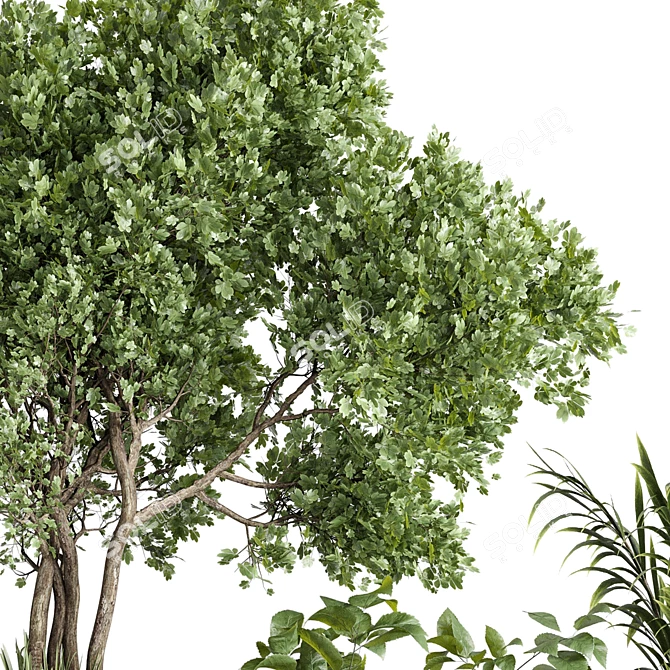 Outdoor Concrete Plant Stand Set 3D model image 6