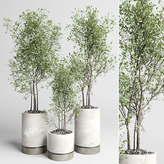 Concrete Box Plant Stand Set 3D model image 1