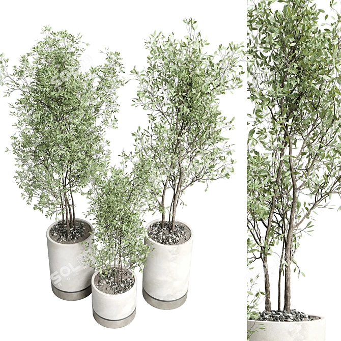 Concrete Box Plant Stand Set 3D model image 2