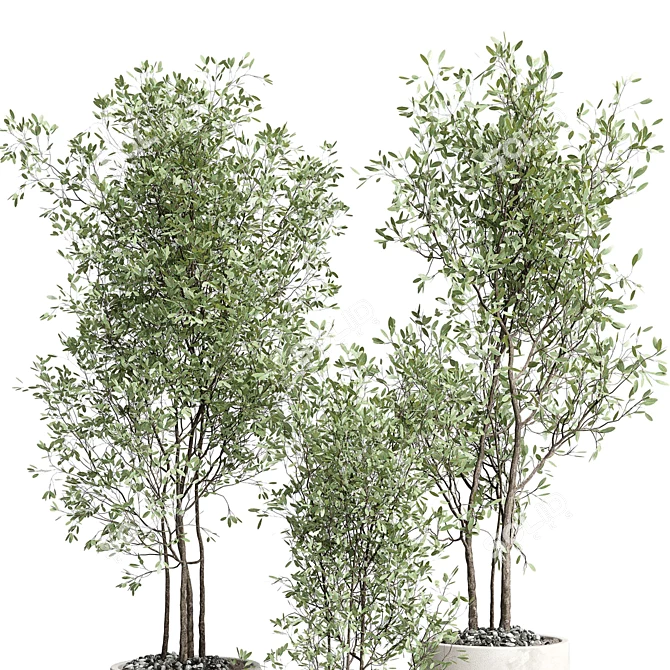 Concrete Box Plant Stand Set 3D model image 3